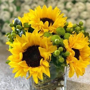 Meet your Posher, Paula